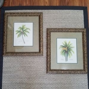 Framed Canary Island Artwork of Coconut Palm